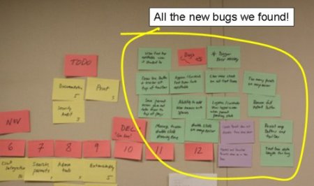 all-the-new-bugs-we-found